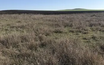 Auction image Farmland