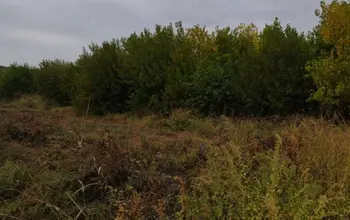 Auction image Farmland