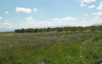 Auction image Земеделска земя/имот, ферма, парник/оранжерия