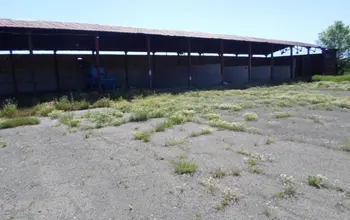 Auction image Farmland