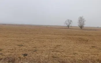 Auction image Land for building