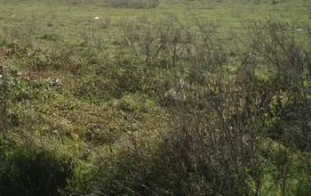 Auction image Land for building