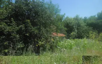 Auction image Къща