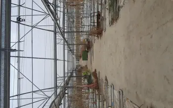 Auction image Земеделска земя/имот, ферма, парник/оранжерия