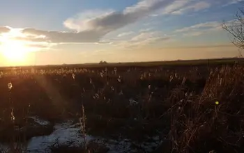 Auction image Farmland