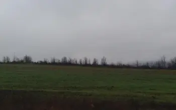 Auction image Farmland