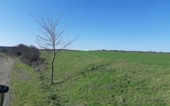 Auction image Farmland