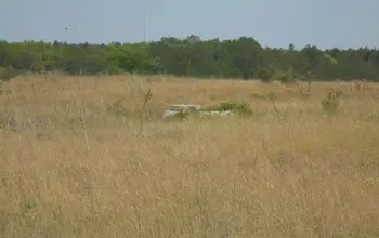 Auction image Land for building