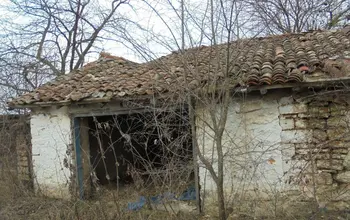 Auction image House