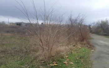 Farmland