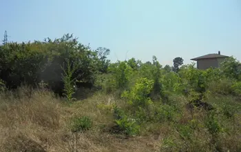 Auction image Land for building