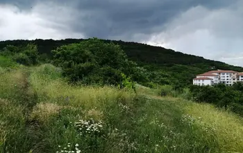 Auction image Парцел (ПИ, УПИ, двор)