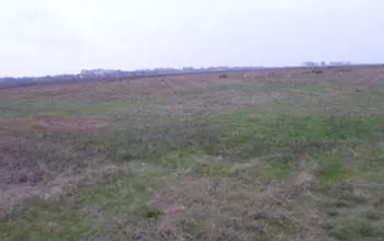 Auction image Farmland