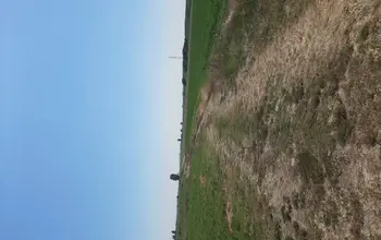Auction image Farmland