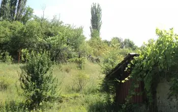 Auction image Земеделска земя/имот, ферма, парник/оранжерия