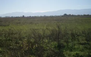 Auction image Land for building
