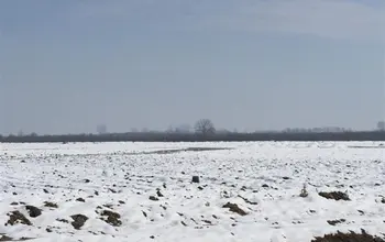 Auction image Farmland