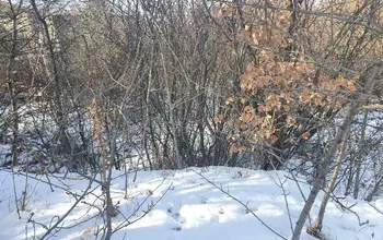 Auction image Land for building