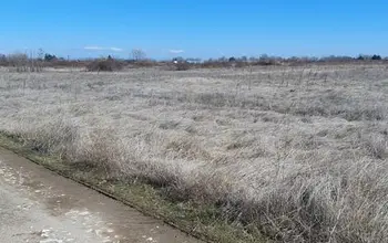 Auction image Farmland