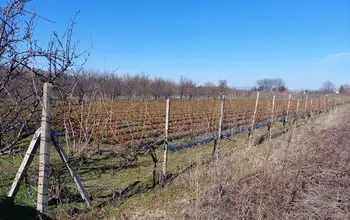 Auction image Farmland