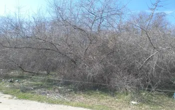 Land for building