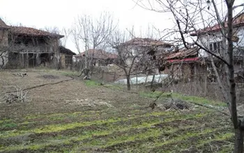 Auction image Парцел (ПИ, УПИ, двор)