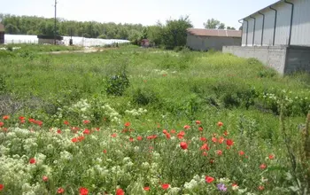 Auction image Фабрика, производствен имот