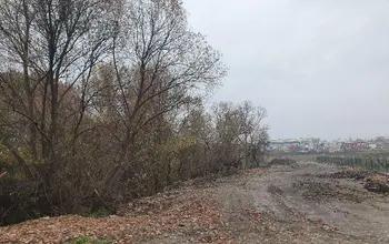 Auction image Земеделска земя/имот, ферма, парник/оранжерия