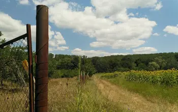 Auction image Farmland