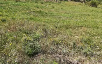 Auction image Land for building