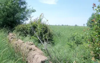 Auction image Парцел (ПИ, УПИ, двор)
