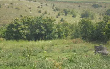 Auction image Парцел (ПИ, УПИ, двор)