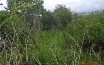 Auction image Парцел (ПИ, УПИ, двор)