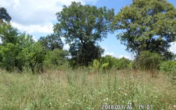 Auction image Land for building