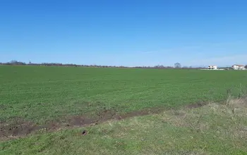 Auction image Farmland