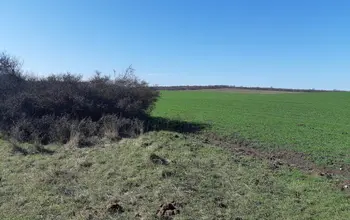 Auction image Farmland
