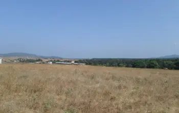 Auction image Farmland