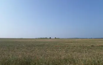 Auction image Farmland