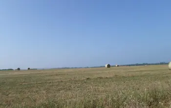 Auction image Farmland