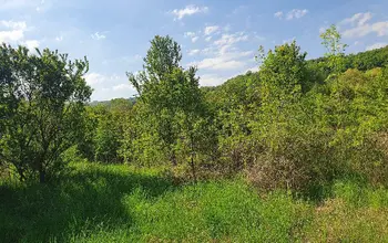 Auction image Парцел (ПИ, УПИ, двор)
