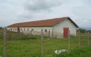 Auction image Други