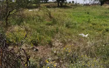 Auction image Land for building