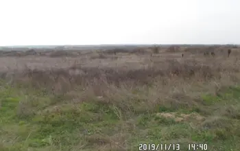 Land for building