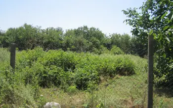 Auction image Къща