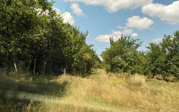 Auction image Земеделска земя/имот, ферма, парник/оранжерия