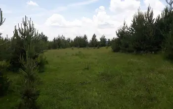 Auction image Land for building