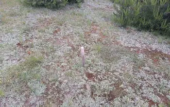 Auction image Land for building