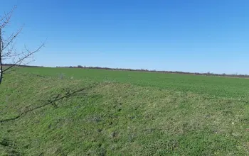 Auction image Farmland