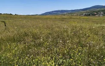 Auction image Farmland
