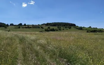 Auction image Farmland